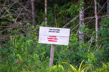 Tree Planting Project Area (