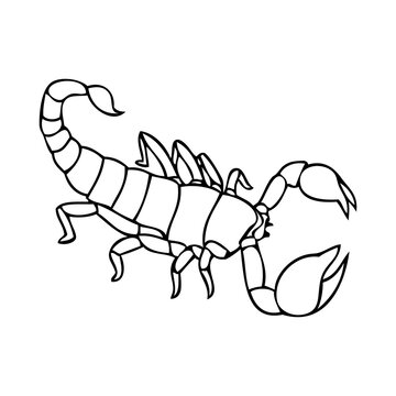 recommend clip art: scorpion line vector illustration