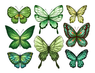 Fototapeta premium Butterfly Collection Illustration Set. Beautiful Watercolor Tropical Moths Isolated on White Background. Flying Cute Insects with Colorful Wings