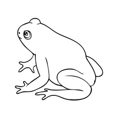 toad outline vector illustration