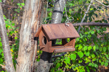 Bird feeder and squirrels on a tree in an autumn park. A wooden birdhouse hangs on a tree trunk