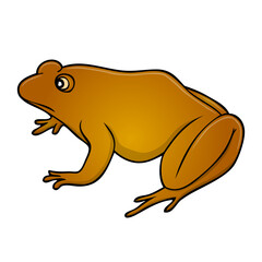 brown frog vector illustration