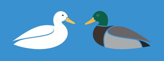 Duck logo. Isolated duck on white background. Bird