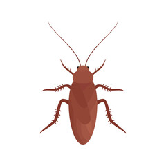 illustration of cockroach isolated