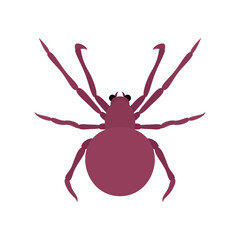 red spider illustration