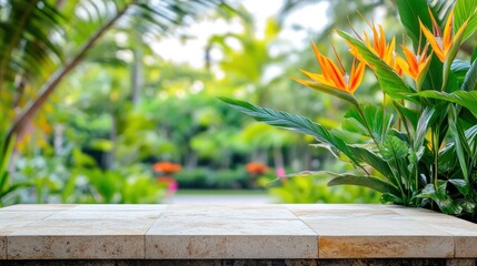 A serene outdoor scene with vibrant tropical flowers and lush greenery in soft focus.