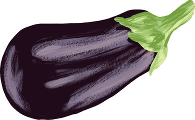 Illustration of Egg plant isolated