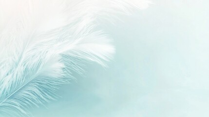 Obraz premium Soft white feather on a blue background symbolizes peace and freedom, perfect for nature or spiritual projects