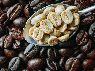 Top view green coffee bean on a stainless steel spoon on roasted coffee bean  background, Close-up, Close-up of unroasted coffee bean