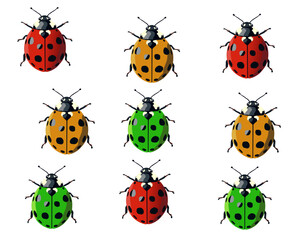collection of ladybugs