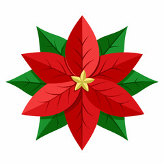 Poinsettia flower vector illustration on white background