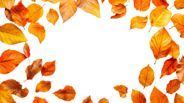  Autumn leaves frame border isolated on transparent background with space for text or design