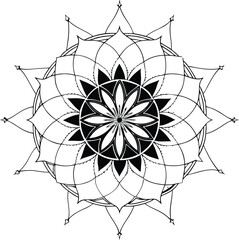 Obraz premium black and white flower