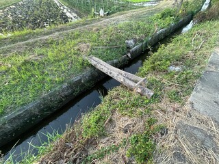 bridge from a small ditch tree trunk in the middle of the garden
