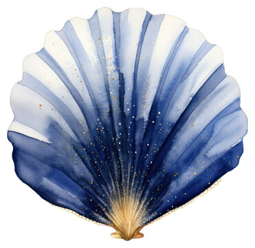 PNG Indigo sea shell watercolor painting.