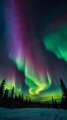 Celestial Wonder Aurora Borealis