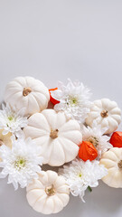 White decorative pumpkins with white chrysanthemums on gray background. Concept: Thanksgiving, autumn background. Copy space, flat lay. Vertical.