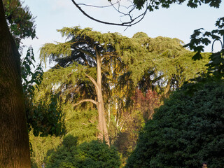 Parco Sempione, public park in Milan, Italy