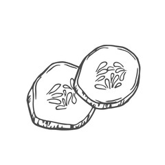 Hand drawn Cucumber Slices Sketch Illustration