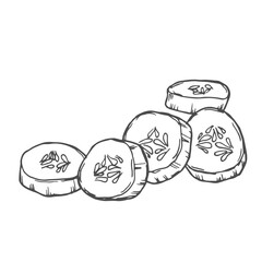 Hand drawn Cucumber Slices Sketch Illustration