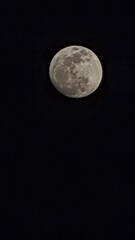 Obraz premium full moon in the night
