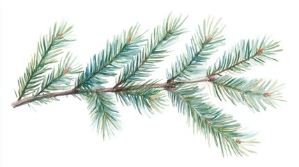 Obraz premium Hand-Painted Watercolor Fir Branch Illustration