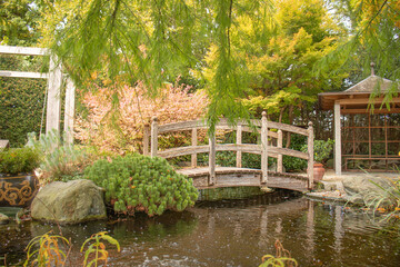 Wooden bridge over the pond, Japanese-style park