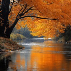 Golden Autumn River