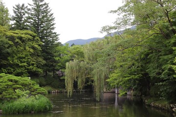 Japanese or Korean Garden with Greenery, Serene Pond, and Towering Willow Trees - Peaceful Escape into Nature - Meditation, Relaxation, Nature