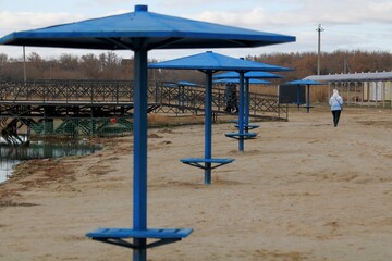 beach umbrellas on the beach