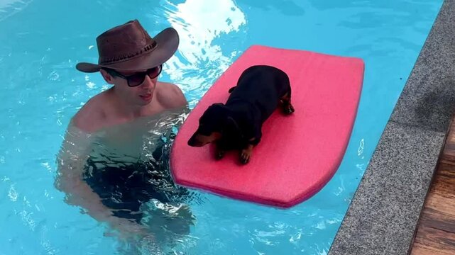 homem na piscina com cachorro salsicha em prancha de surfe