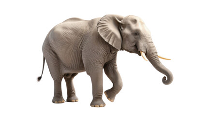 Fototapeta premium Elephant showcasing its large size, prominent trunk, and tusks, representing the beauty of wildlife and nature