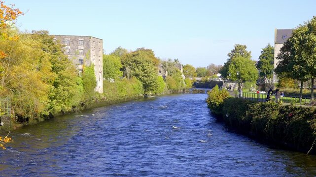 Corrib River in Galway Ireland - A peaceful river view reflecting sunlight, featuring a picturesque bridge and vibrant lush greenery