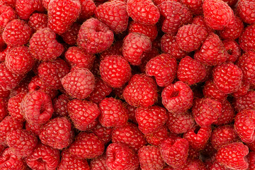 Tasty fresh raspberry as a background.