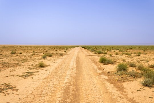 The unpaved track in the desert near Riyadh