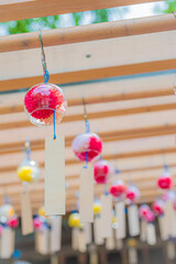 法輪寺　夏の風景