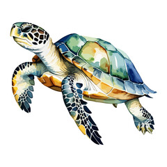 Hand drawn watercolor painting of a Turtle. Sea animals collection vector illustration isolated on a white background