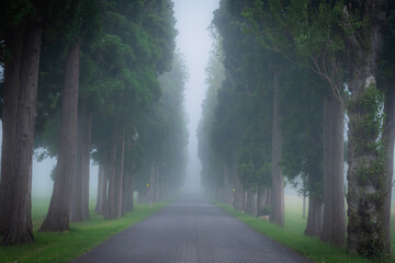 Obraz premium 北海道 トラピスト大修道院の風景