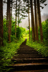 北海道　トラピスト大修道院の風景