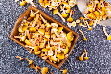 Fototapeta premium Harvest of autumn forest mushrooms