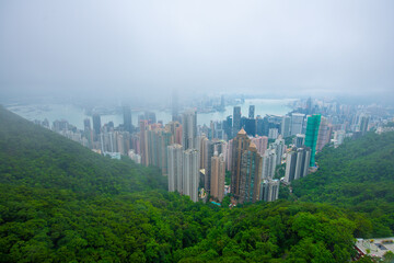 Fototapeta premium Skyline of Hong Kong at daytime from Victoria Peak