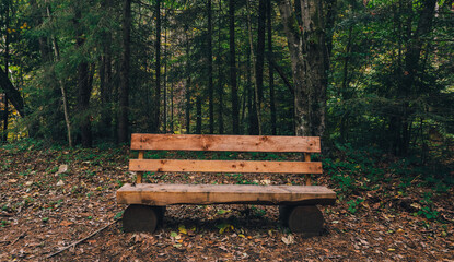Wooden bench in the forest . Rest area in the middle of nature