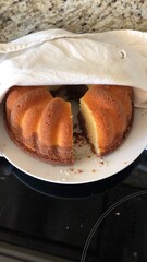 Czech cake, babovka, marble cake