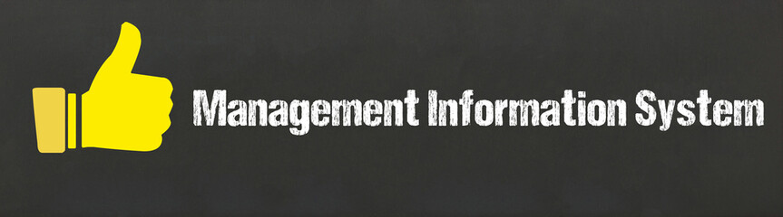 Management Information System © magele-picture