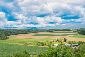 Obraz premium 北海道 富良野 日の出公園の風景