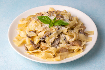 Homemade Italian fettuccine pasta (Fettuccine al Funghi Porcini) with mushroom and cream sauce. Traditional Italian cuisine.