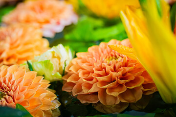 小樽　住吉神社の花手水