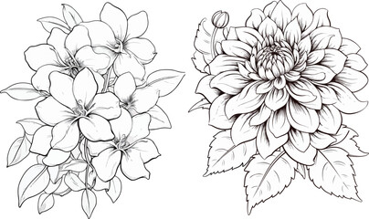hand drawn flowers