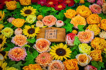 小樽　住吉神社の花手水