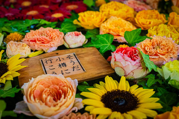 小樽　住吉神社の花手水